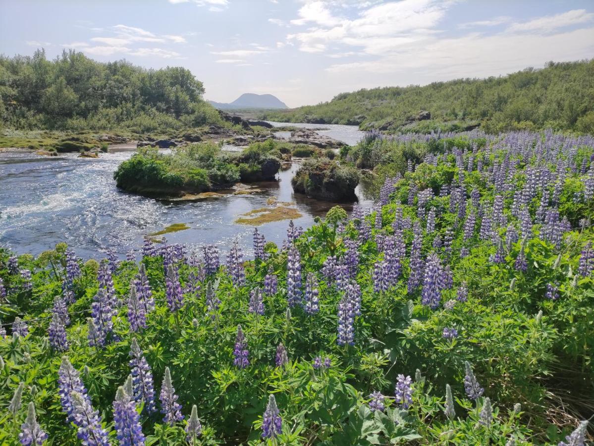Rjupnavellir Villa Bagian luar foto